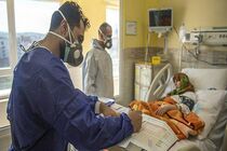 فوت 5 بیمار کرونایی طی 24 ساعت گذشته