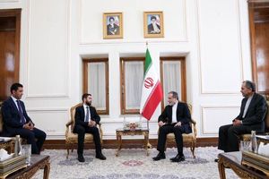 معاون وزیر خارجه ارمنستان با عراقچی دیدار کرد