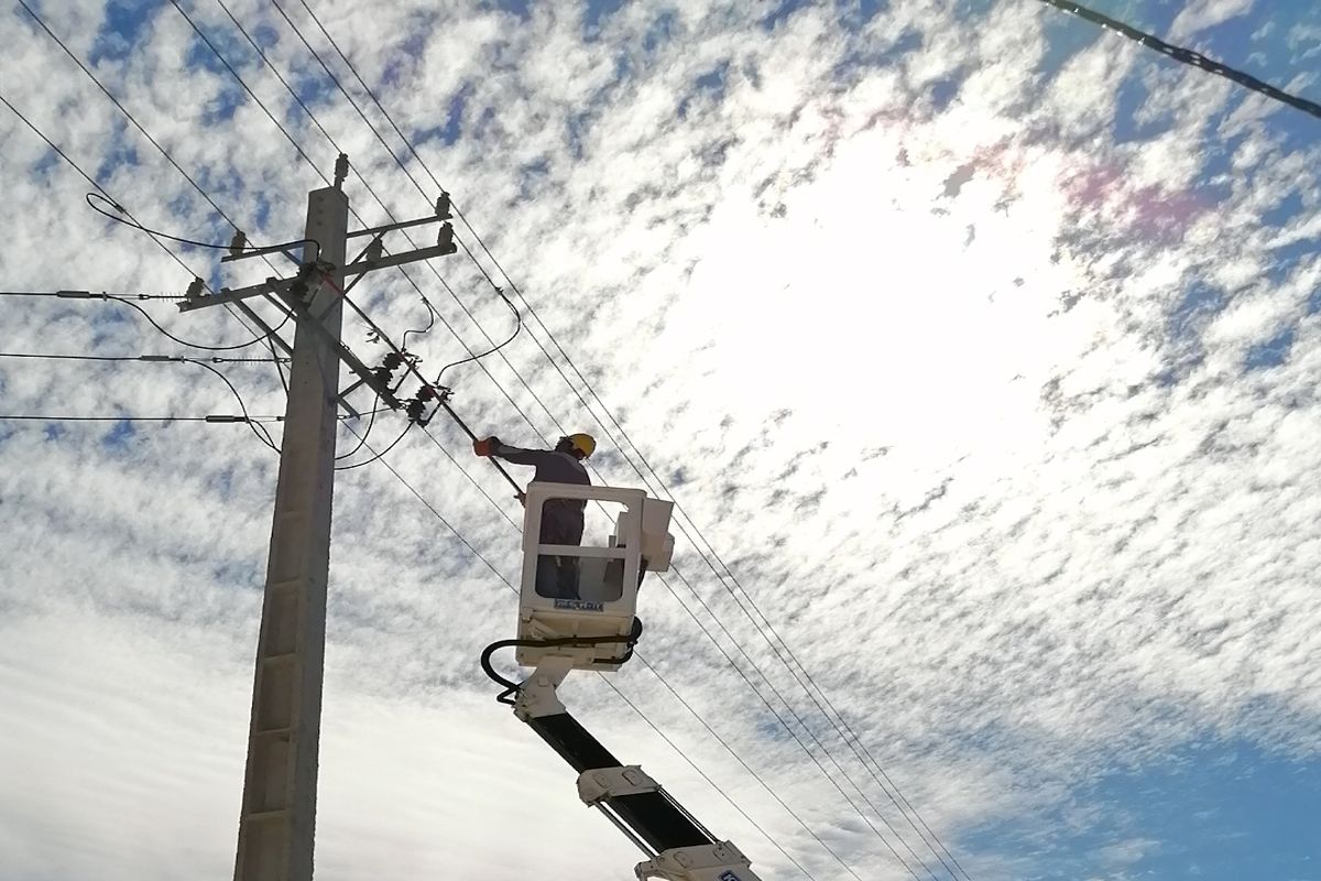 شرکت توزیع برق فارس 