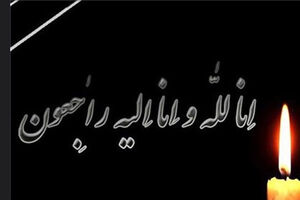 حمزه ولوی مدیرکل محیط زیست فارس فوت کرد
