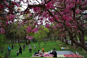 کمپین طبیعت پاک برای پیشگیری از زباله‌ریزی سیزده بدر