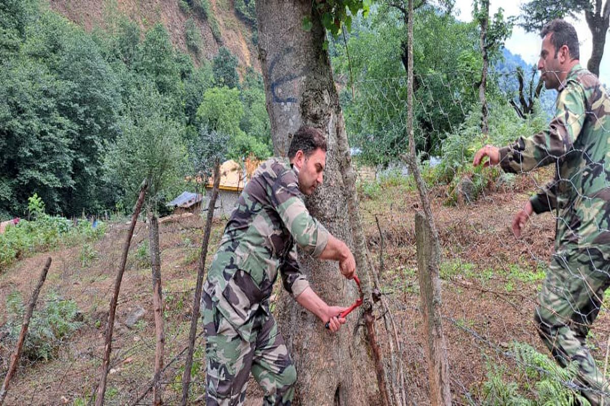 منابع طبیعی