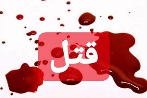مرگ تلخ بانوی میانجی‌گر در نزاع رانندگان شیرازی/ قاتل دستگیر شد