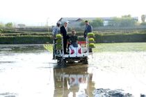 کشاورزان مازندرانی باید ارزش واقعی تولید برنج را در زندگی خود احساس کنند