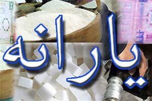 اولین یارانه نقدی سال 96 پرداخت شد/سهم برخی افزایش یافت
