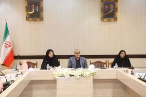حوزه اجتماعی بازتاب عملکرد سایر حوزه‌هاست/ پیشگیری از خودکشی نیازمند مداخله هدفمند در محلات پرخطر است