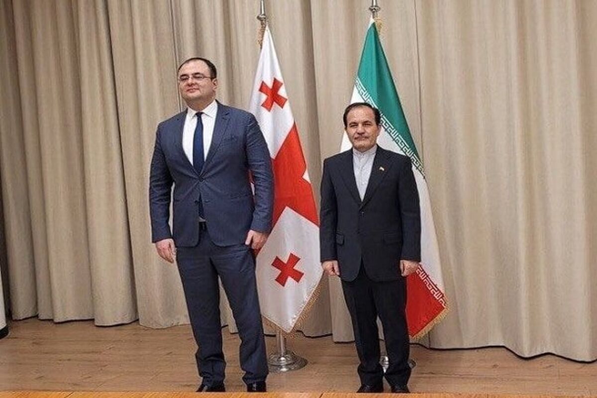دیدار گرجستان