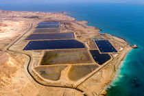 قشم رکورددار تولید میگو در کشور می‌شود