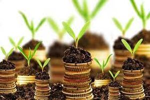 تسهیلات کشاورزی چه کسانی شامل بخشودگی و امهال می‌شود؟