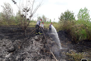 پوشش ۱۴ مورد اطفای آتش سوزی علفزارها و جنگل