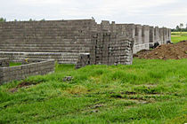 سوسک‌ها جی‌پی‌اس دارند