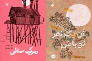 2 مجموعه شعر از بانوان منتشر شد