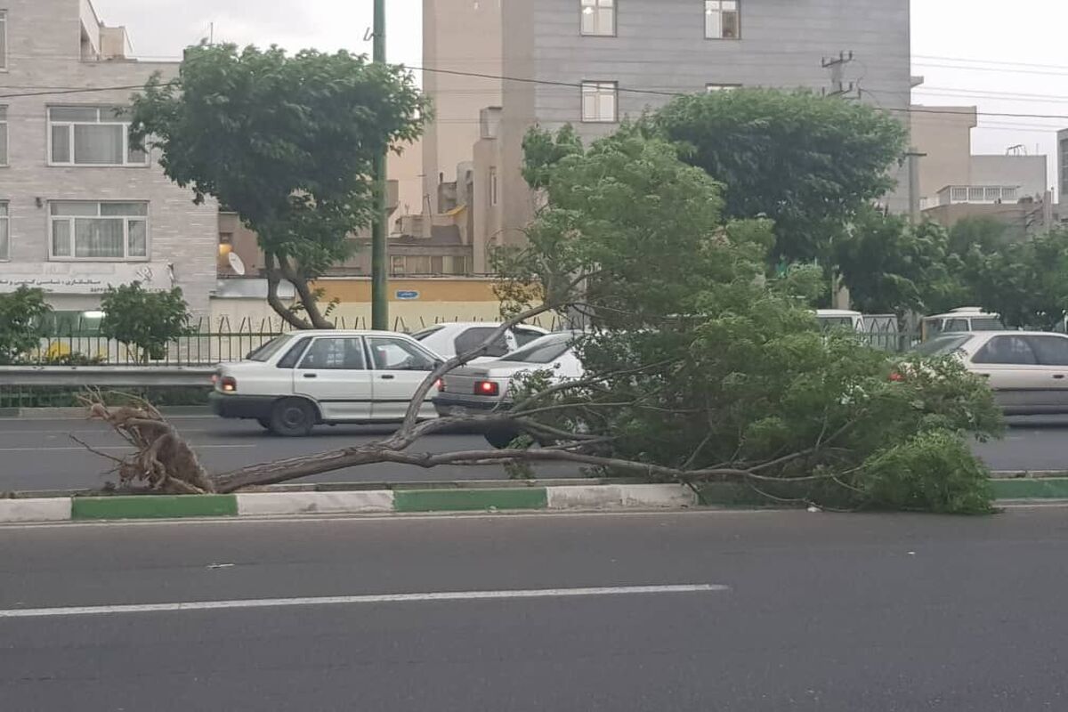 طوفان در تهران