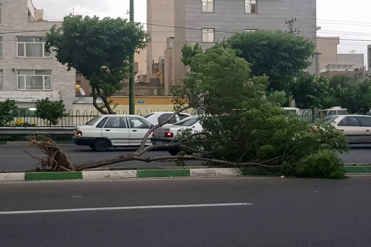 طوفان در تهران