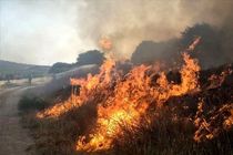 فداکاری بی‌چشم‌داشت حامیان طبیعت، ایلام به بالگرد و تجهیزات نو نیاز دارد  