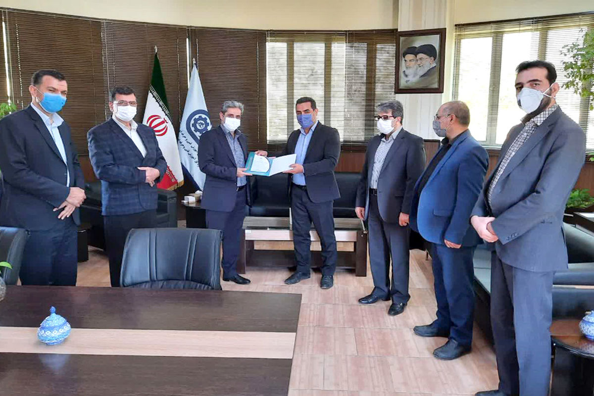 وحید سلمانی