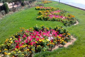 احداث۱۴ بوستان شهری در قم در نیمه نخست سال جاری