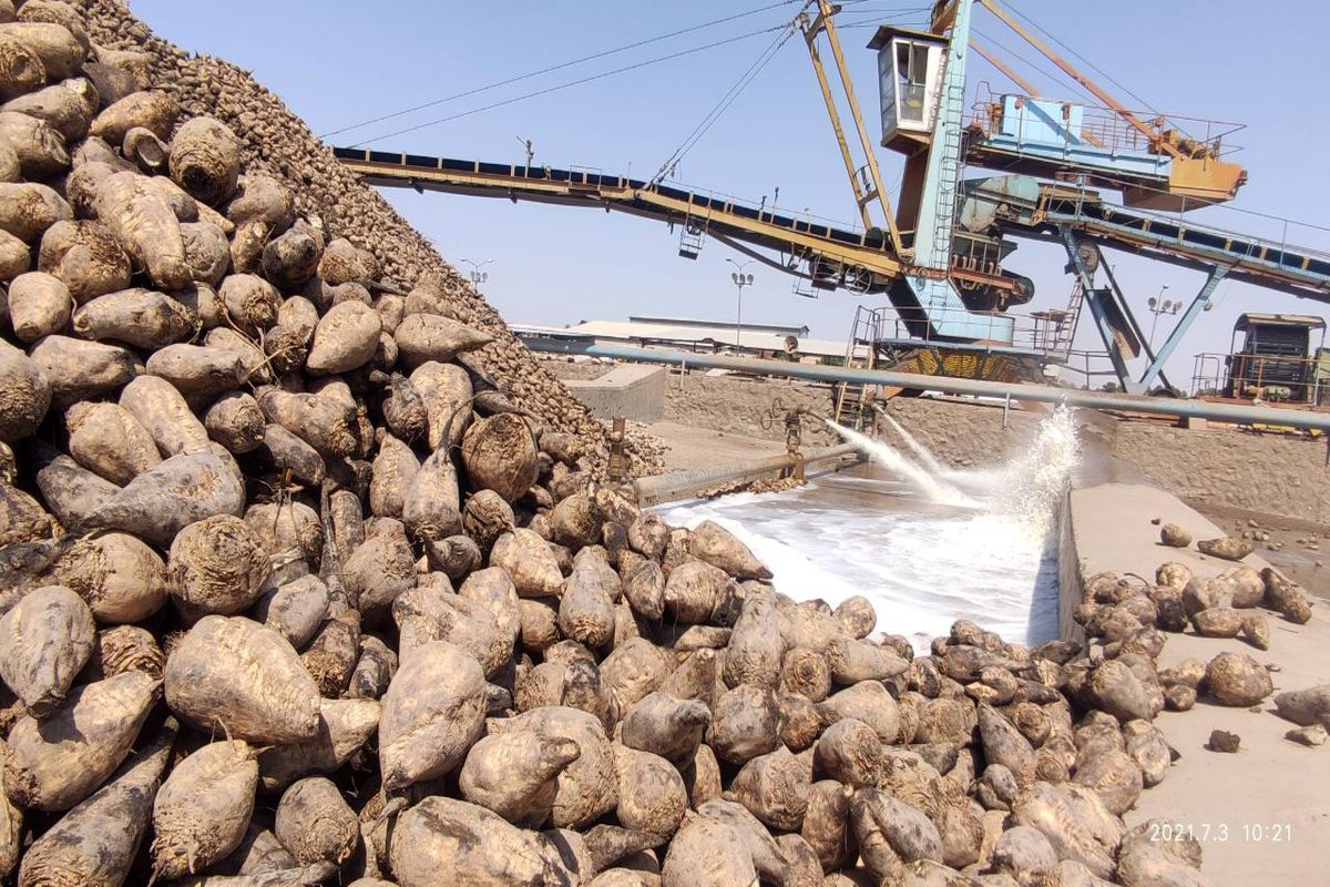  کارخانه قند جوین