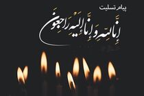 شورای توسعه فرهنگ قرآنی در پی درگذشت آیت‌الله حجتی پیام تسلیت داد