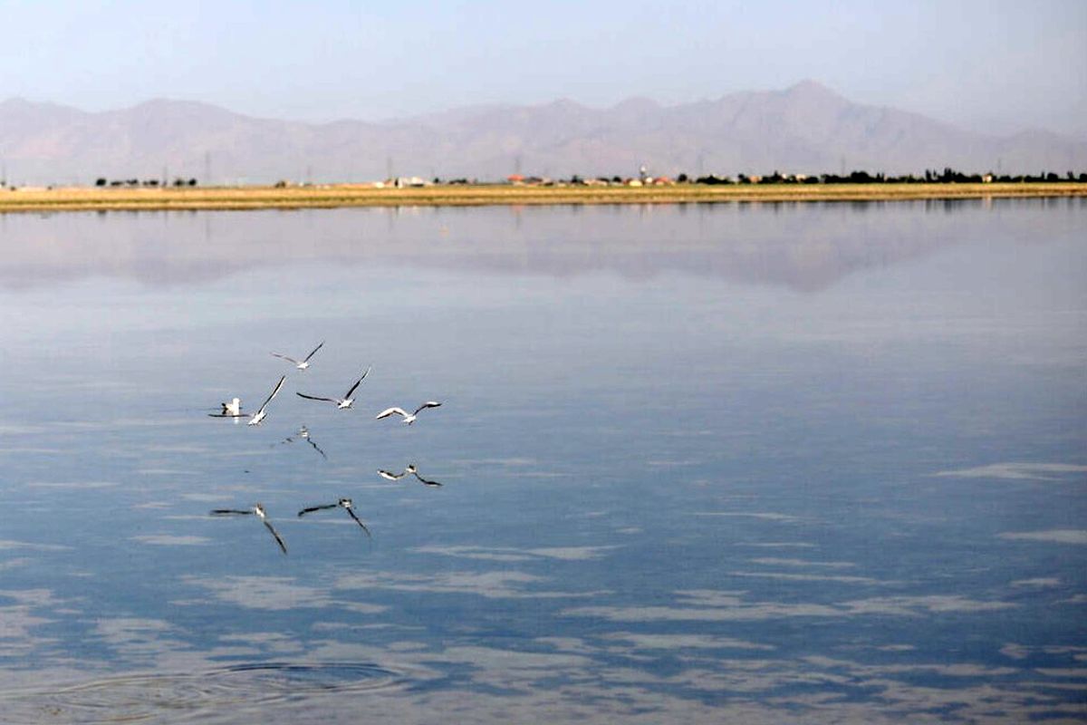 تالاب میقان