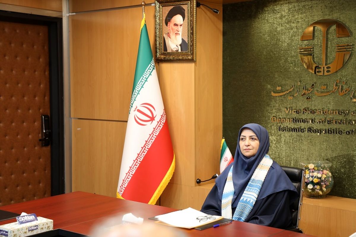  شینا انصاری