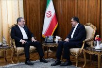 سازمان همکاری اسلامی باید نقش محوری در تحکیم همکاری‌ها علیه نسل‌کشی غزه ایفا کند