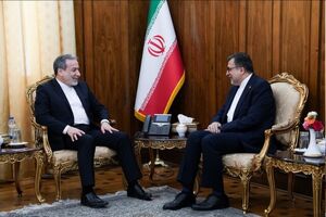 سازمان همکاری اسلامی باید نقش محوری در تحکیم همکاری‌ها علیه نسل‌کشی غزه ایفا کند