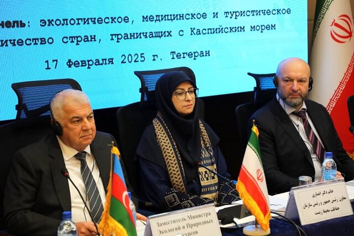 شینا انصاری