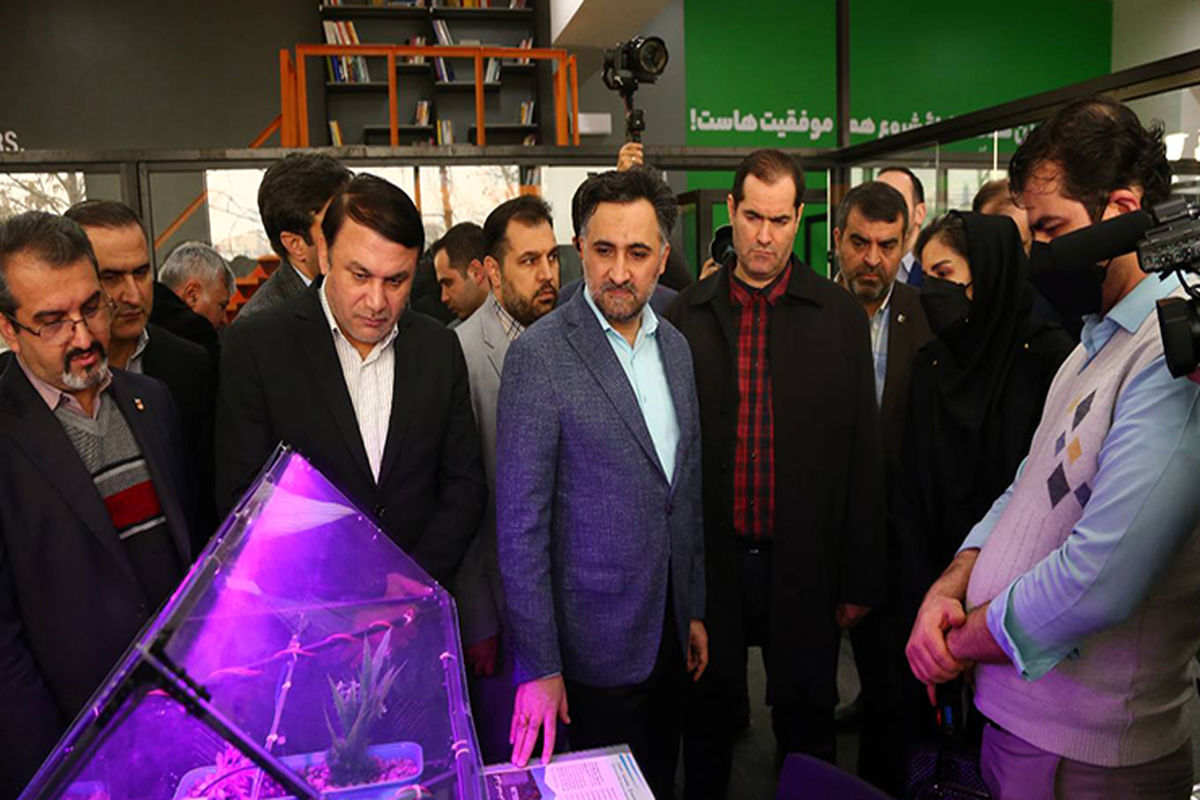 معاون علمی رئیس جمهور