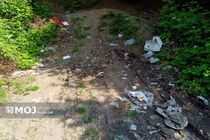 رئیس سازمان حفاظت محیط زیست بر عدم رهاسازی سبزه عید و ماهی‌های قرمز در رودخانه‌ها و آبگیرها تاکید کرد