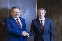 گروسی با مدیر شرکت روس‌اتم رایزنی کرد