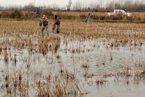 جمع آوری 1200 متر تور هوایی در لاهیجان