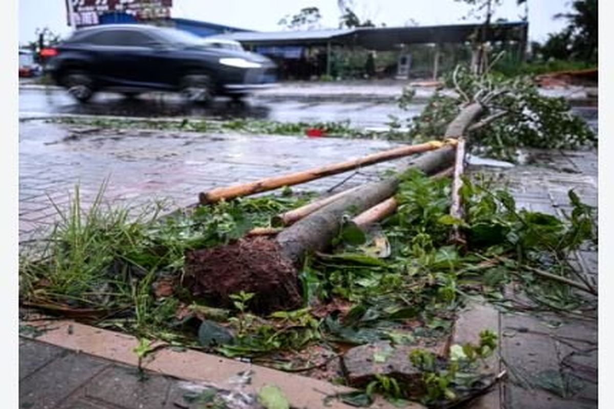 طوفان ویتنام