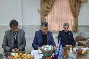 ارائه  طرح کار در محیط واقعی به عنوان یک طرح موفق  ایرانی به دیگر کشورها