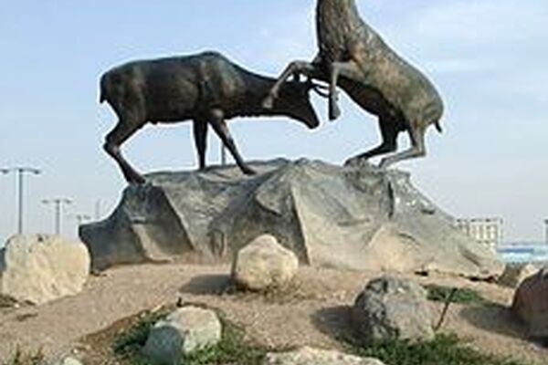 شفاف سازی سازمان حفاظت محیط‌زیست درباره بروز بیماری پن لوکوپنی در مرکز بازپروری حیات‌وحش پردیسان