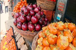 آغاز به کار سومین جشنواره ملی انار و خرمالوی شیراز