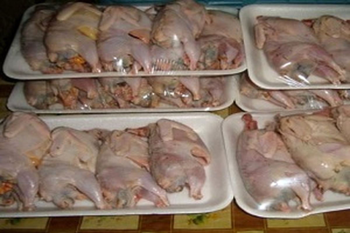 گوشت بلدرچین غیر بهداشتی