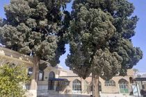 ۹ میراث طبیعی فارس ثبت ملی شد