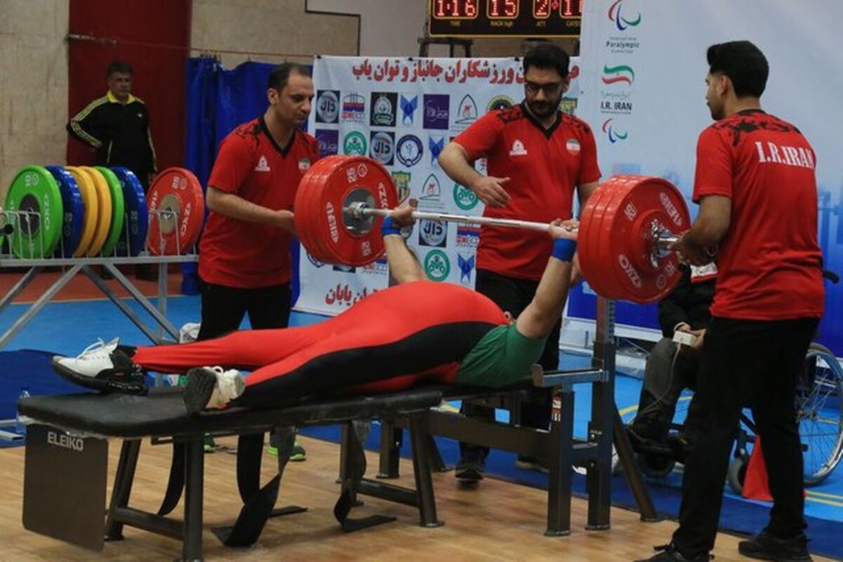 پاراوزنه برداری