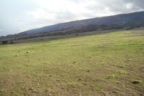 تخصیص اعتبار برای احیای مراتع هرمزگان 