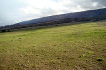 تخصیص اعتبار برای احیای مراتع هرمزگان 