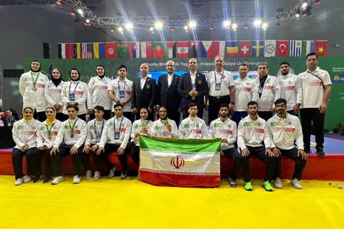 تیم ملی ووشوی ایران