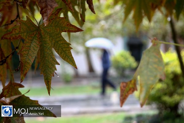 هواشناسی برای پنج استان شمالی کشور هشدار بارش باران صادر کرد