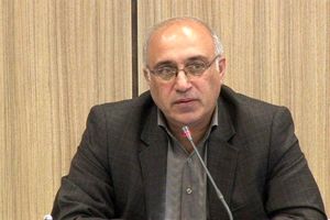 هشت میلیون زائر حرم شاه عبدالعظیم بهترین فرصت برای  گردشگری از اماکن تاریخی ری است