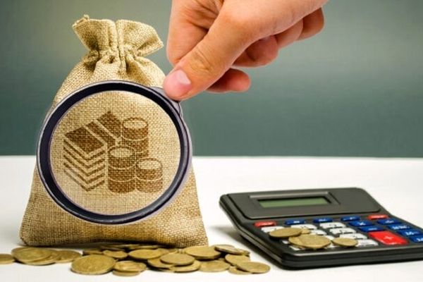 ۳۵ همت مالیات و جرایم از محل کتمان درآمد، وصول شد