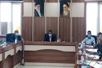 کشت 30هزار اصله نهال در هرمزگان