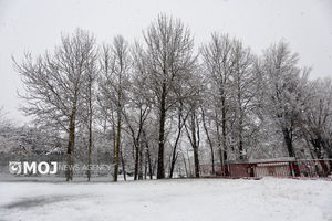 بارش برف در ۶ روستای شهرستان حاجی آباد هرمزگان