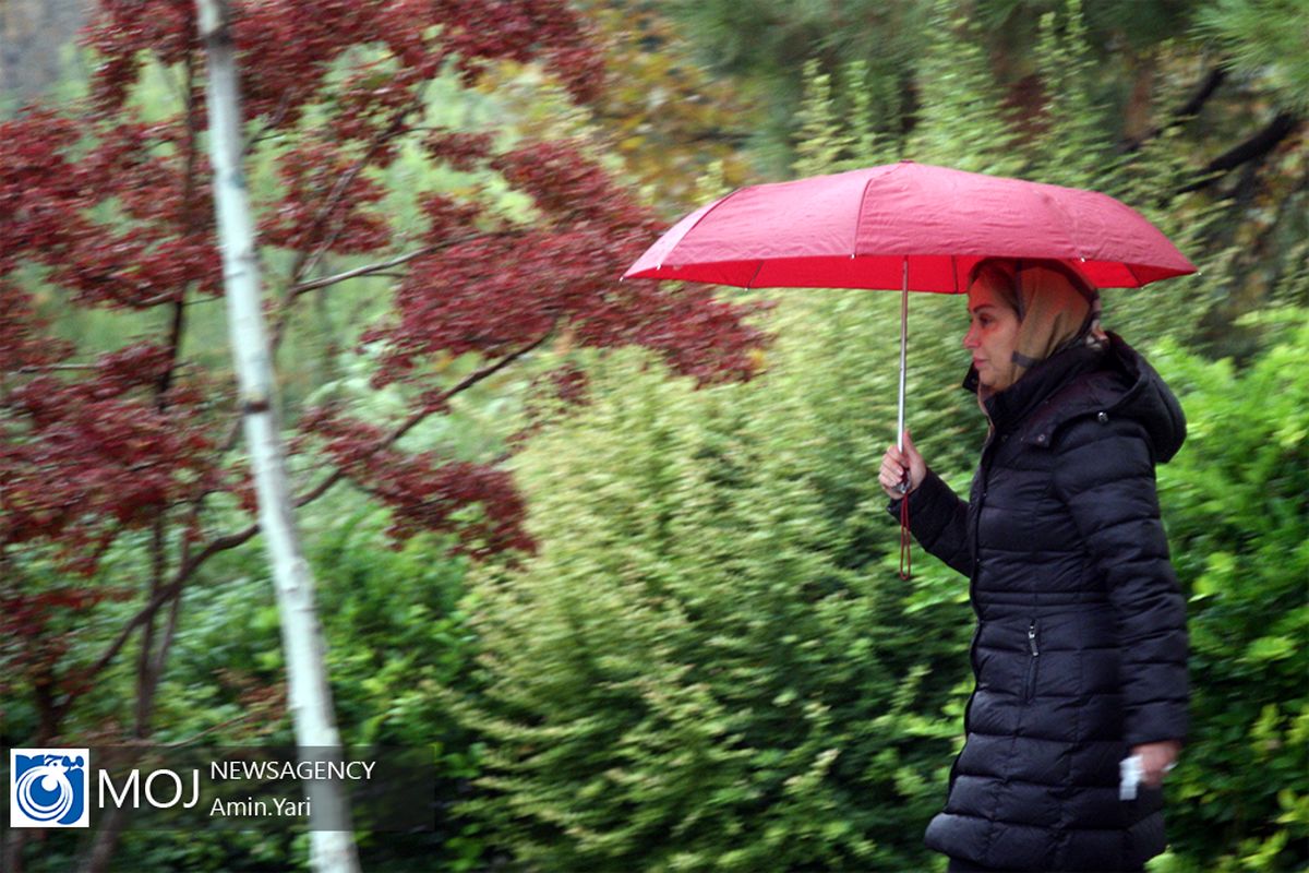 بارش باران پاییزی در تهران