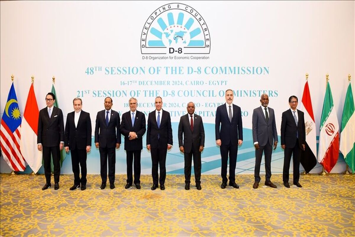 گروه دی 8