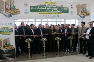 درخشش صنعت آبزی‌پروری اردبیل در دهمین نمایشگاه کشاورزی / غرفه شیلات استان افتتاح شد